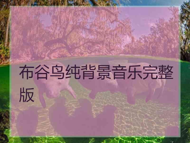 布谷鸟纯背景音乐完整版