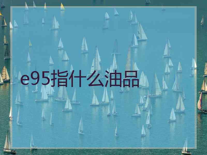 e95指什么油品