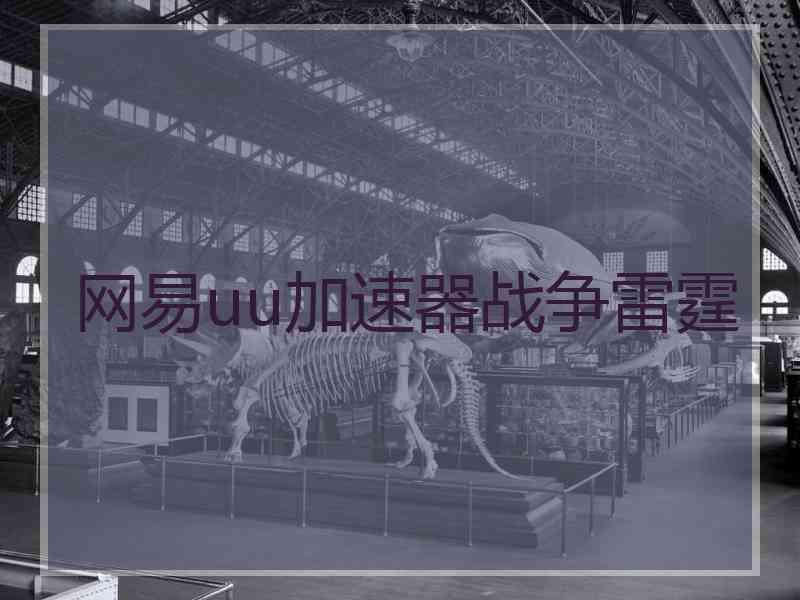 网易uu加速器战争雷霆