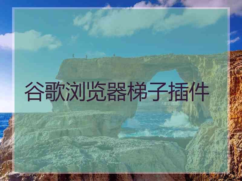 谷歌浏览器梯子插件
