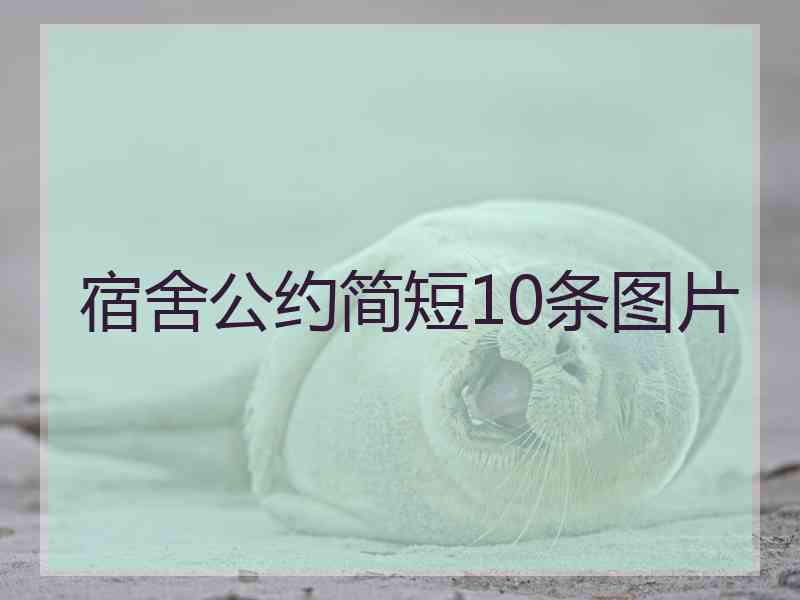 宿舍公约简短10条图片