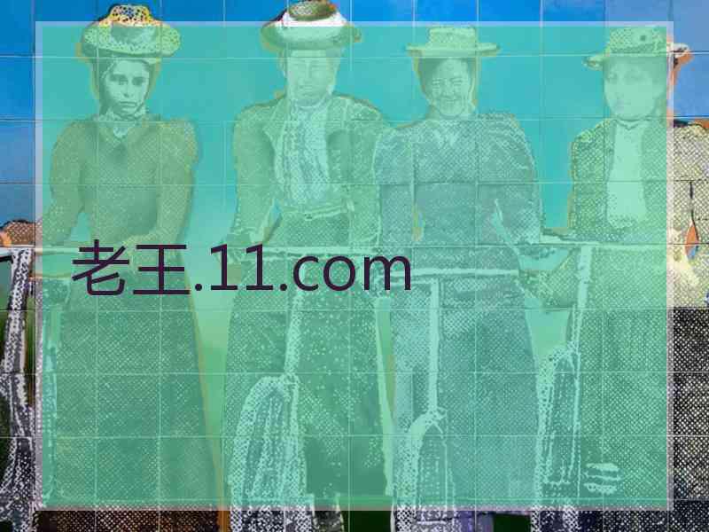 老王.11.com