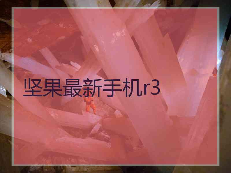 坚果最新手机r3