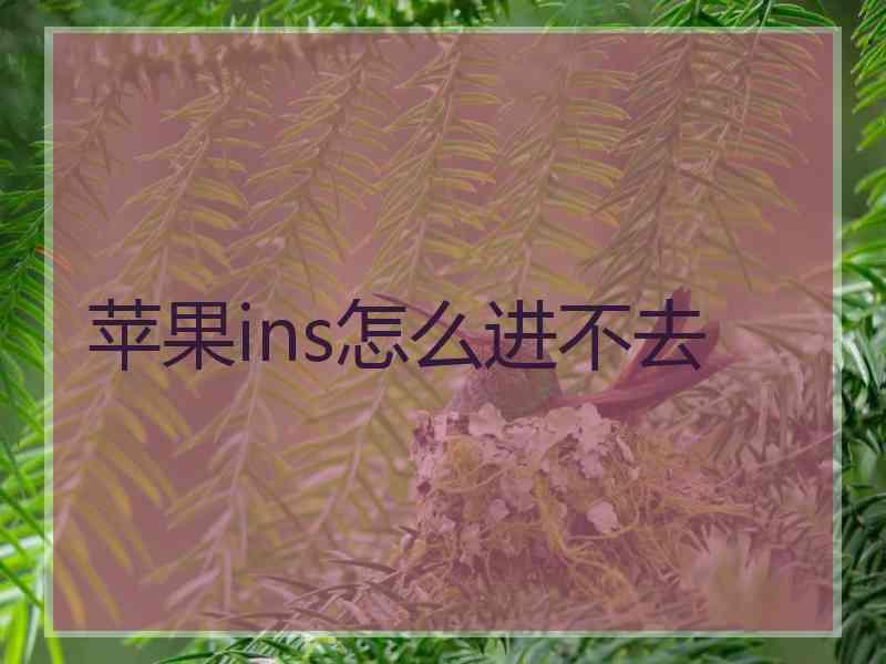 苹果ins怎么进不去